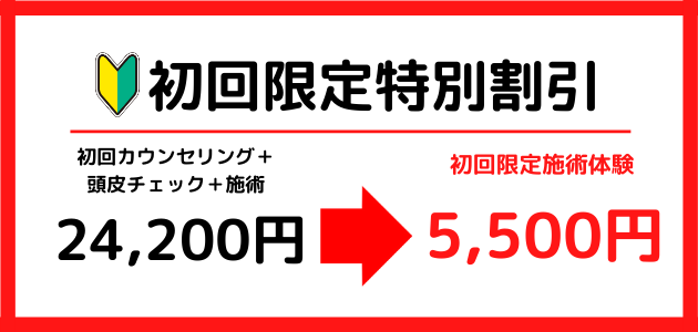 初回限定割引